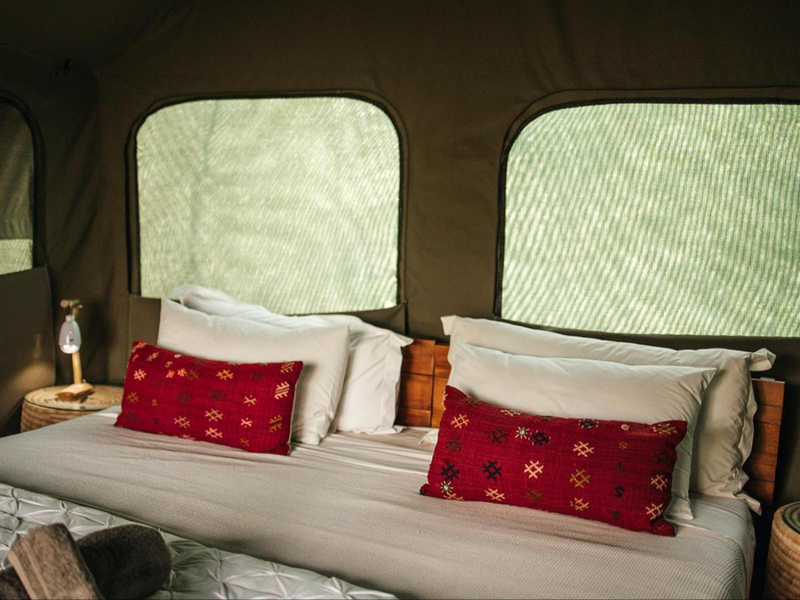 Apartament Bushveld Bivouac Private Camp Mica Pokój zdjęcie