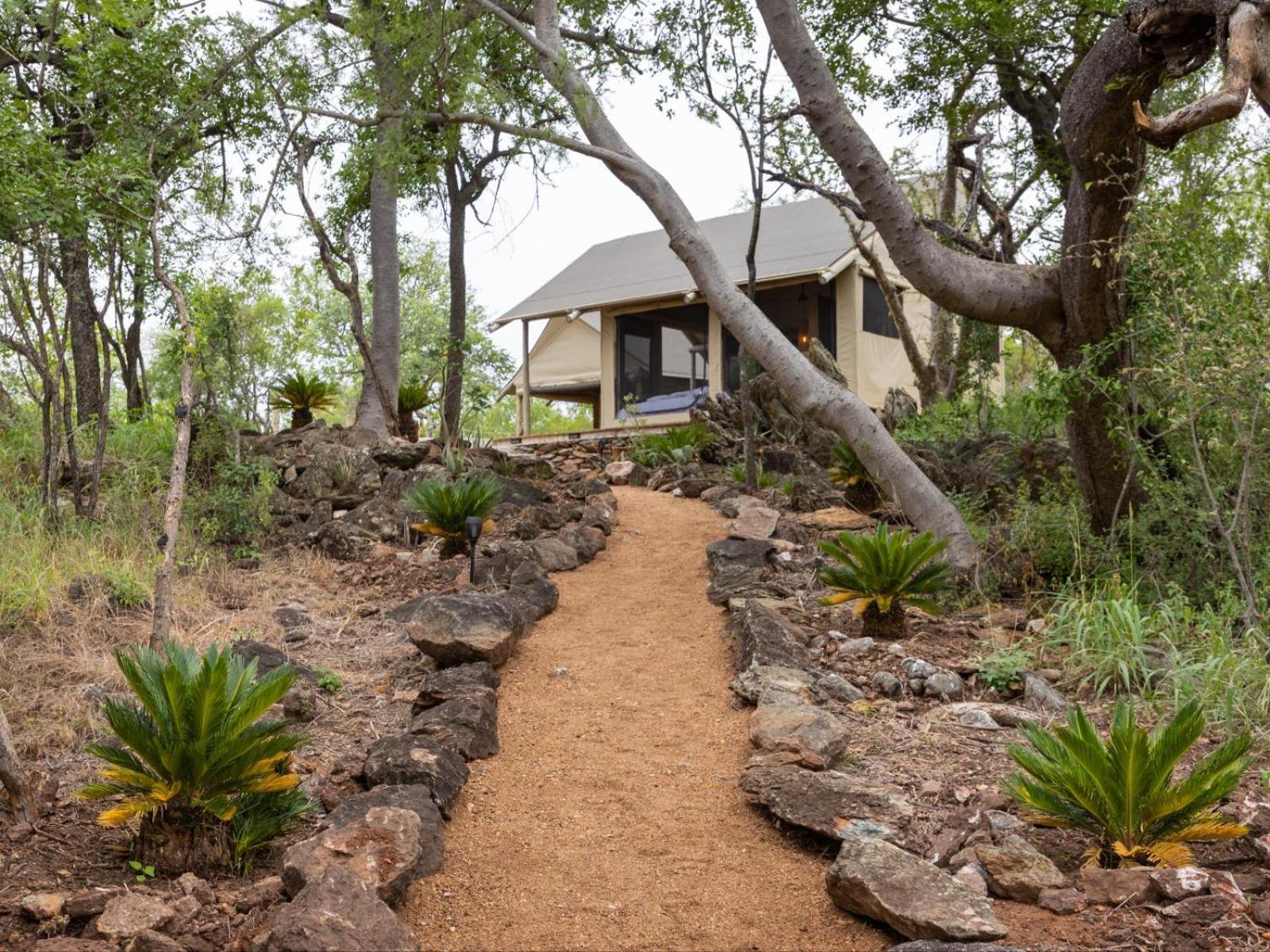 Apartament Bushveld Bivouac Private Camp Mica Pokój zdjęcie
